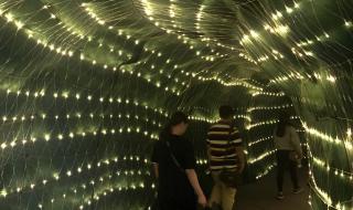 武鸣三月三 武鸣三月三